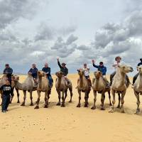 Akça Koca Platformu üyeleri develerin sırtında…