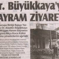 Mavi Kocaeli Gazetesi